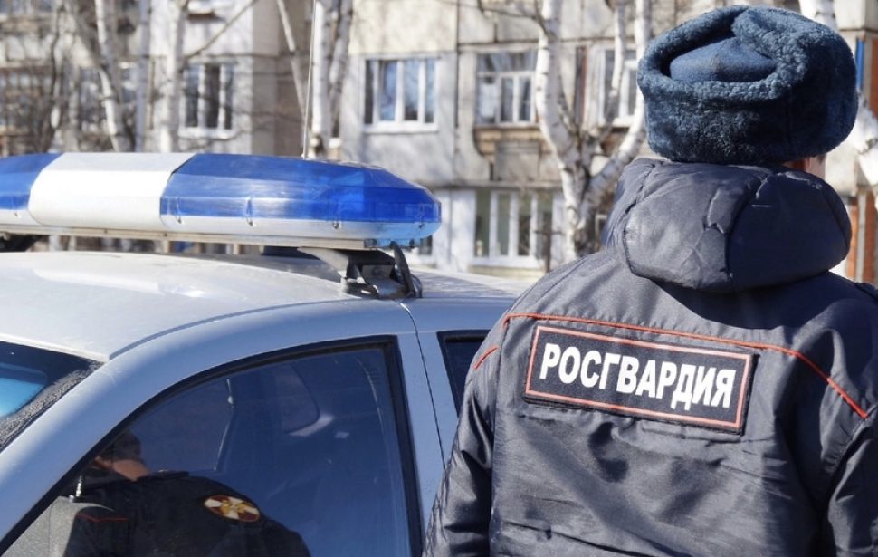 Наряд Росгвардии задержал подозреваемого в краже товара из строительного гипермаркета в Архангельске